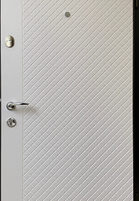 Door EU-35 870х2050 L